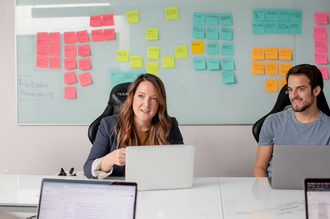 corporate software project team