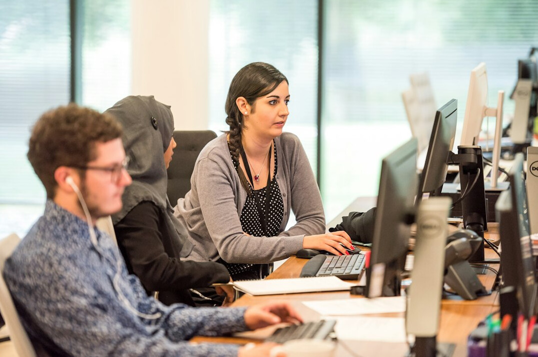 corporate programmers at work